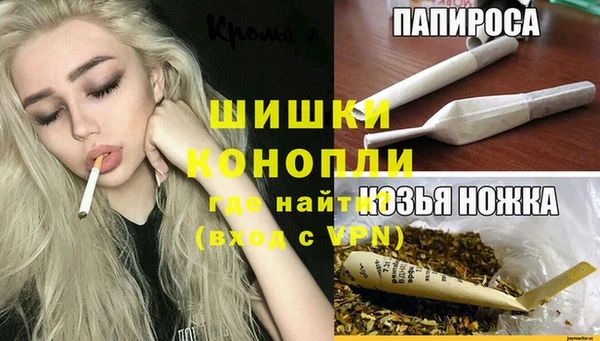 спайс Вяземский