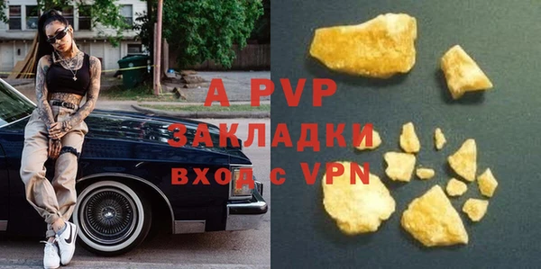 спайс Вяземский