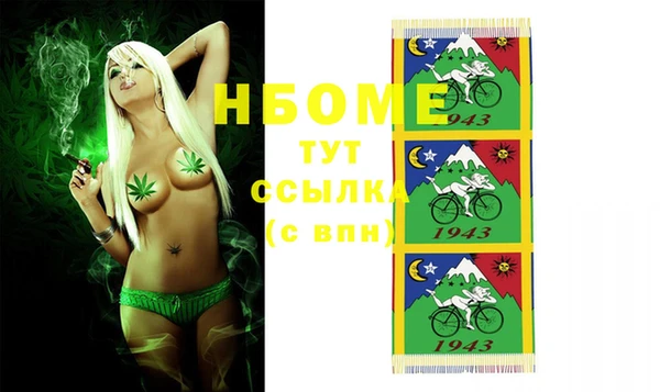 амф Горняк
