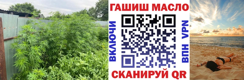 ТГК Wax  МЕГА зеркало  Заозёрск 