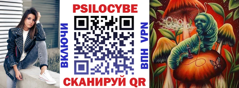 кракен вход  Заозёрск  Галлюциногенные грибы Psilocybe  как найти закладки 